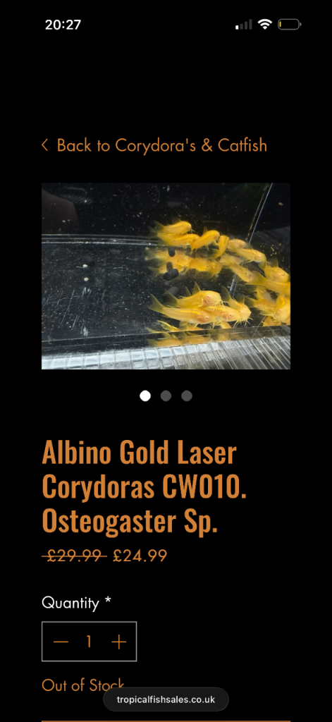 rare corys and guppies