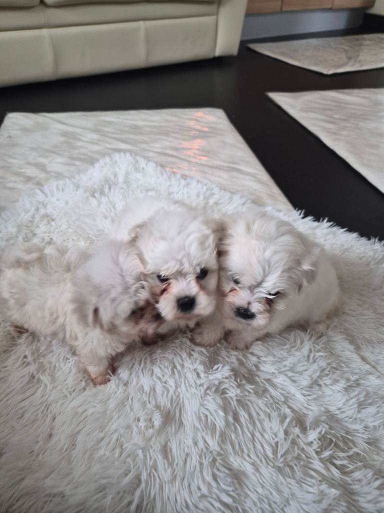 Beijan freeze ready.ready to leave 