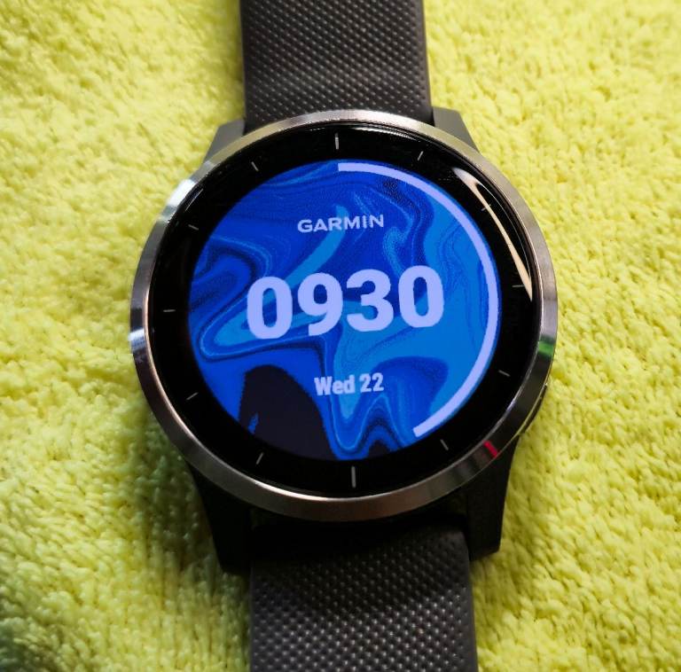 Garmin Vivoactive 4 (45mm) - Shadow Grey with Silver Hardware