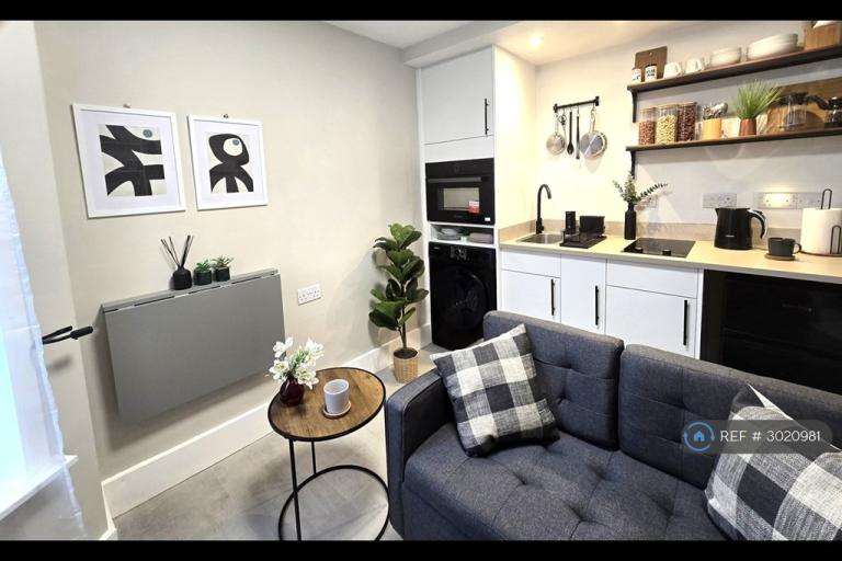 Studio flat in Brockley Road, London, SE4 (#3020981)
