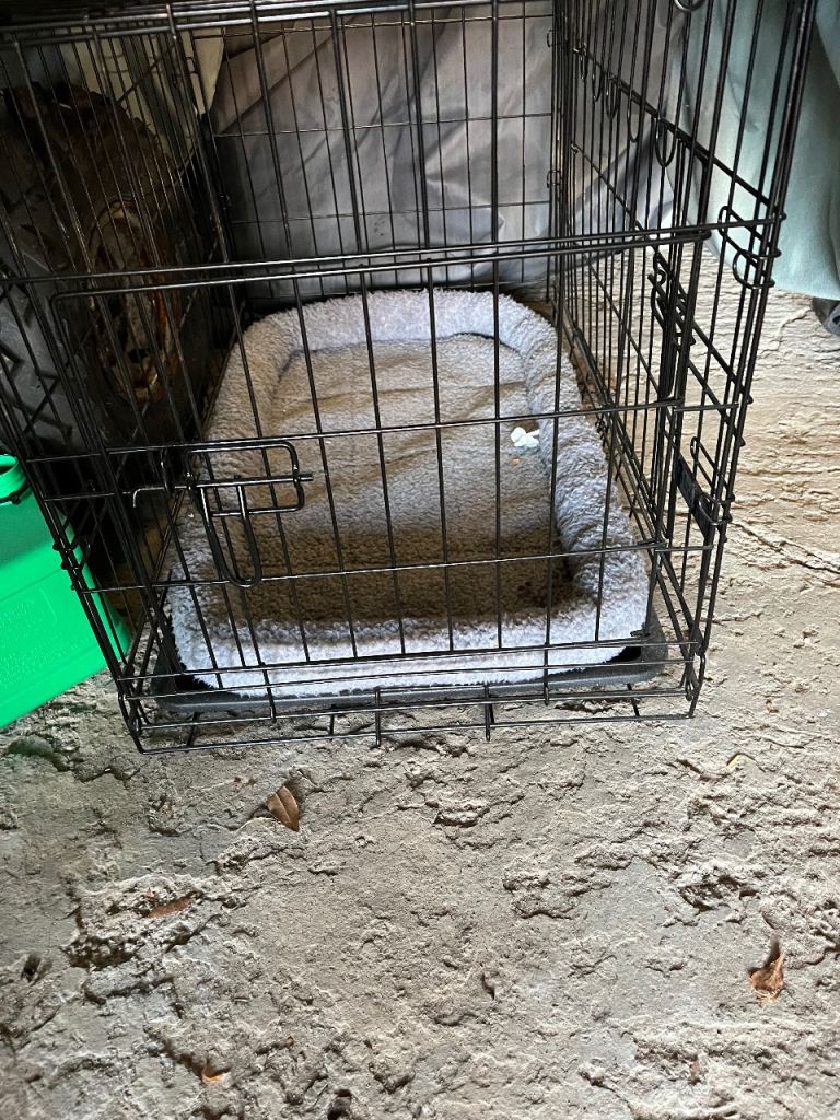 Small dog crate