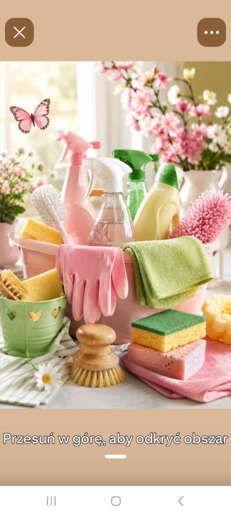 Cleaning Services Katarzyna 
