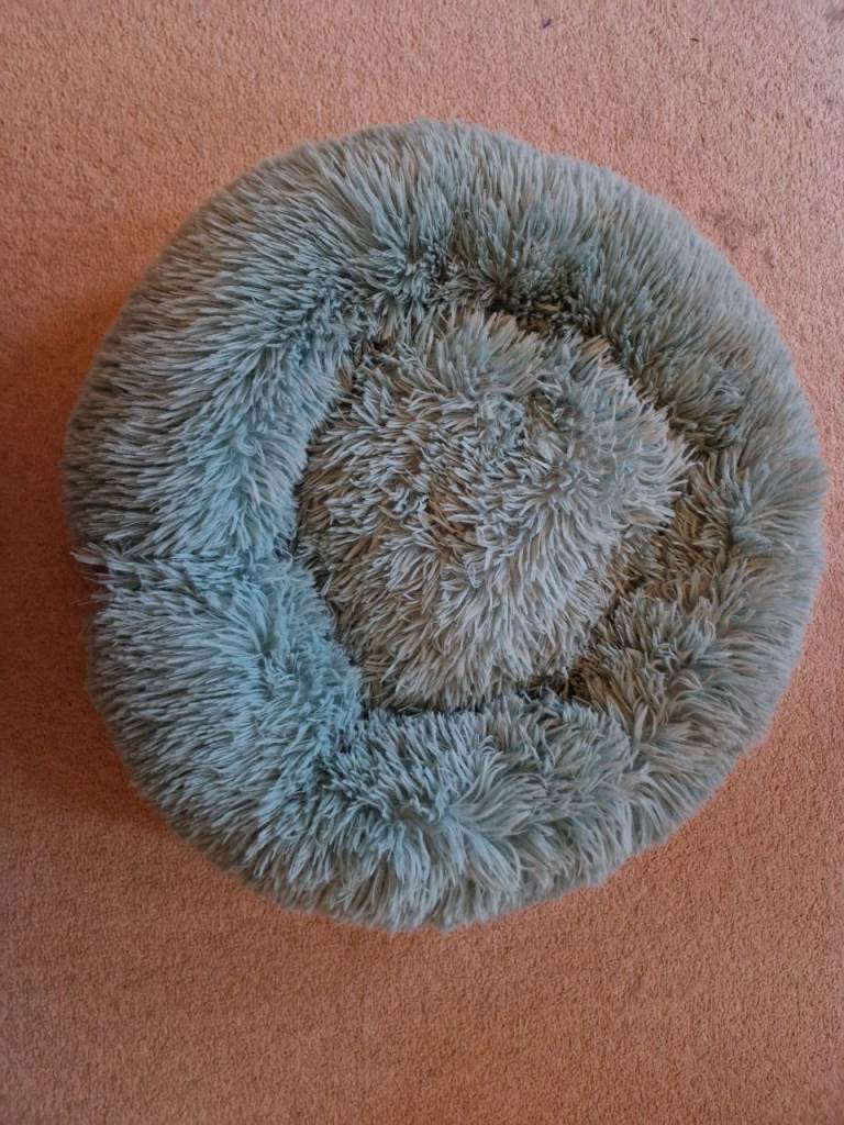 Small Donut Bed