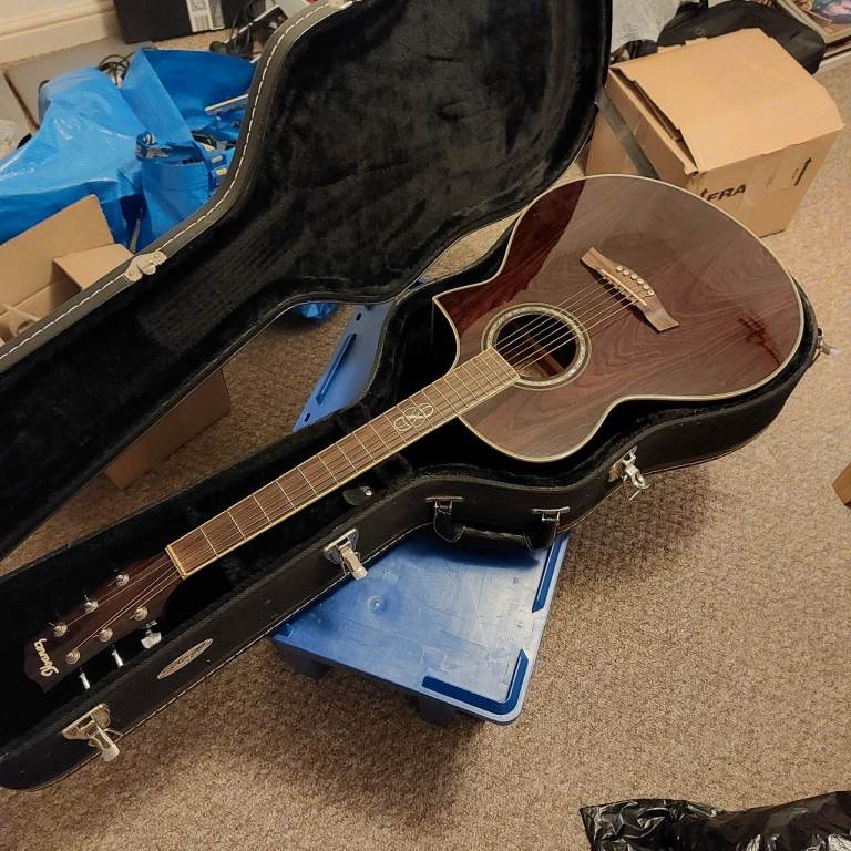 Ibanez ew20wne nt 1202 with a sturdy case