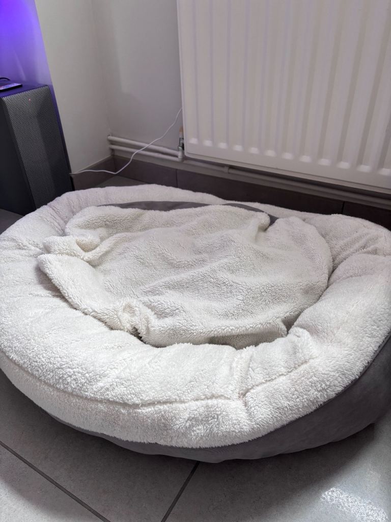Absolutely gorgeous fluffy dog bed