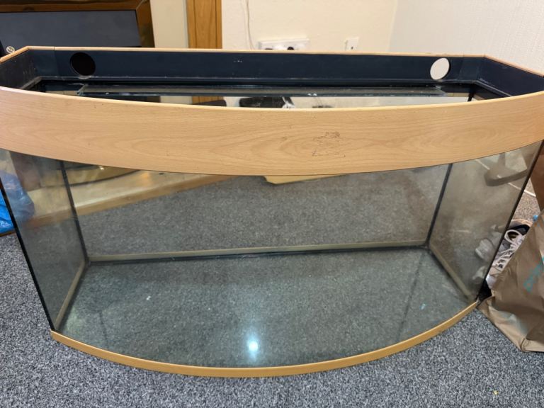 Large Curved Glass Fish Tank Aquarium