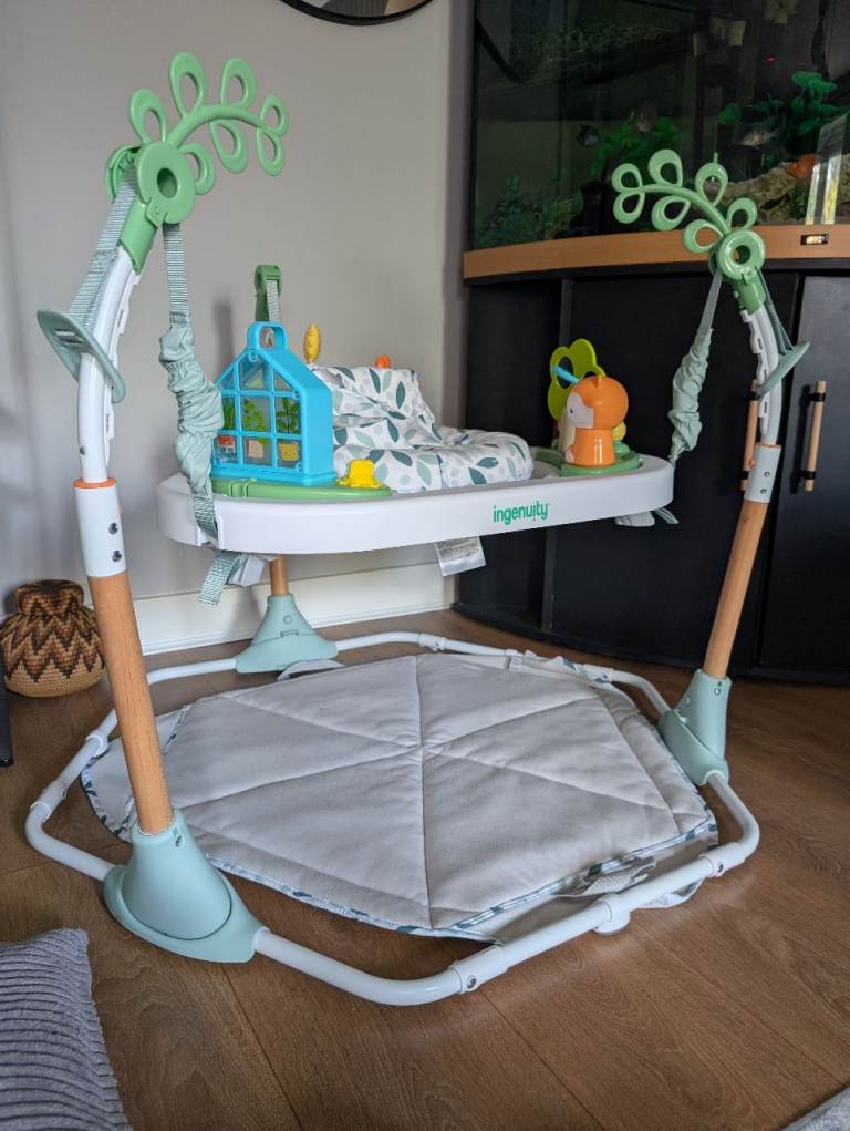 Baby bouncer 6 in 1