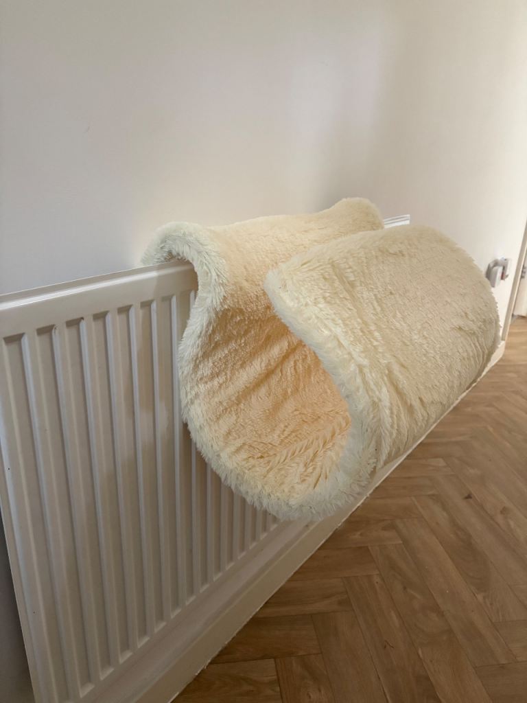 Cat tunnel