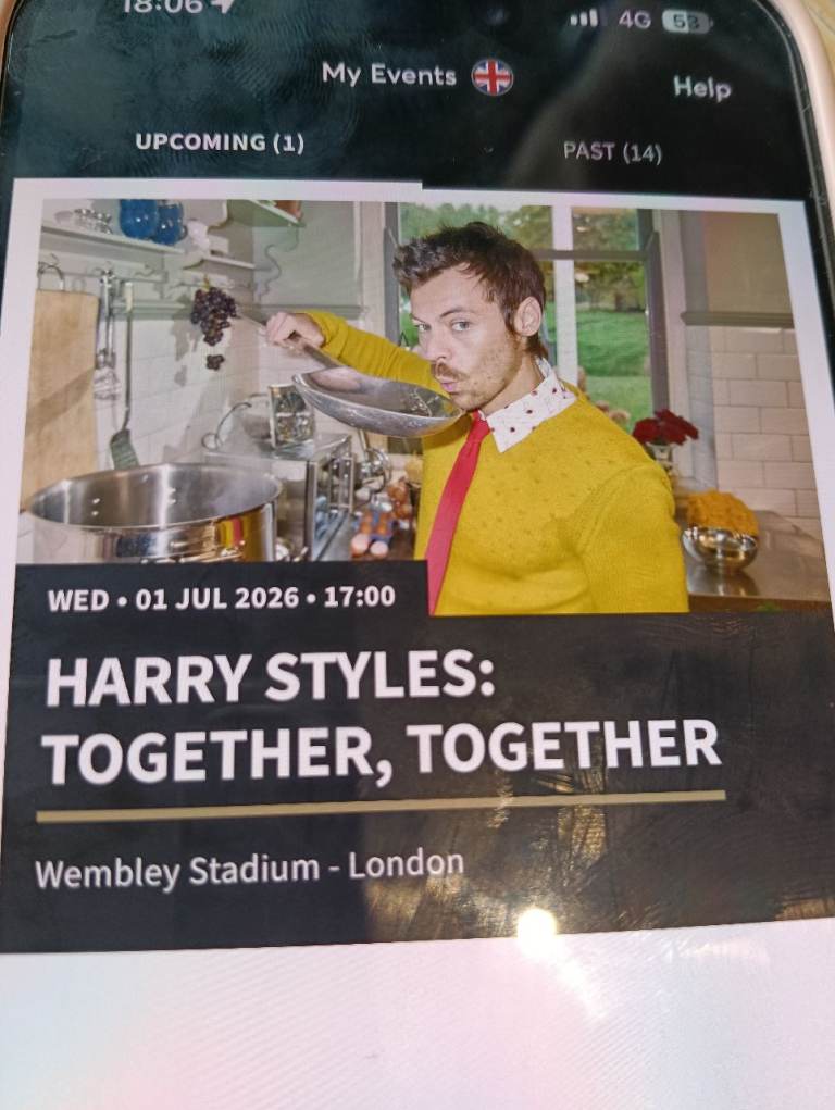 Harry Styles Wembley 1st July 