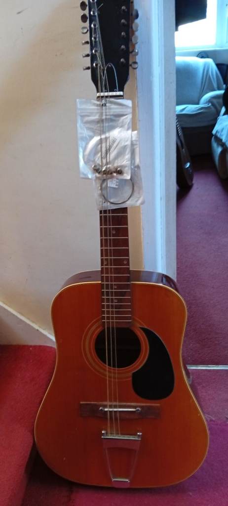 Montana 12 stringed guitar for spares or repairs 