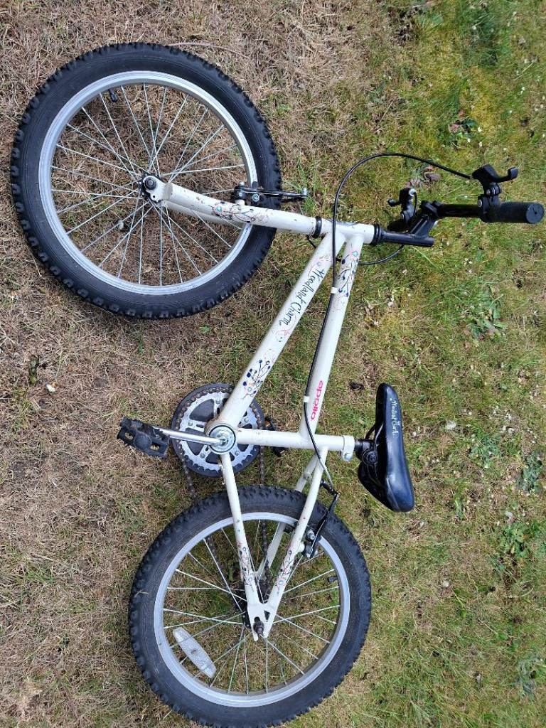 Apollo girls bike