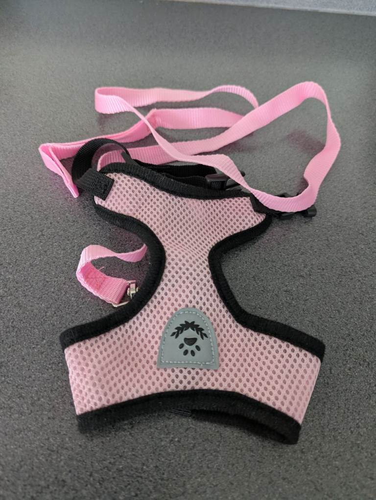 Cat or kitten Harnesses and Leads - Pink, Blue, and Black