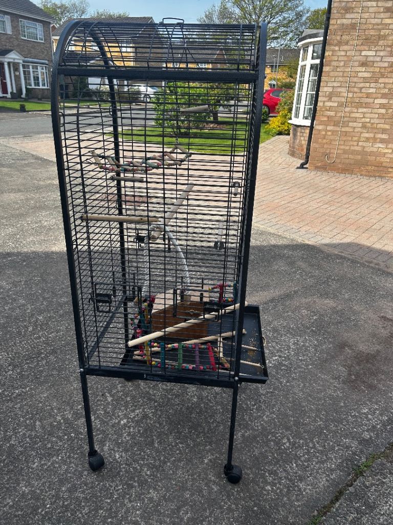 Large cage for birds 