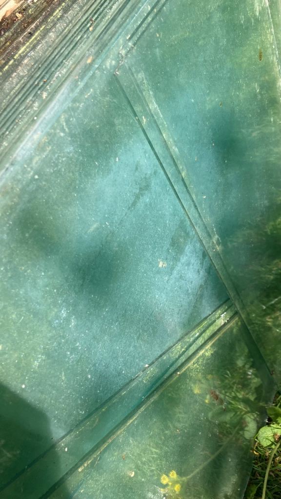 approx 25 greenhouse glass panes.