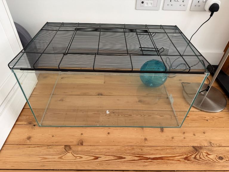 Glass Tank with Wire Mesh Lid for Small Pets