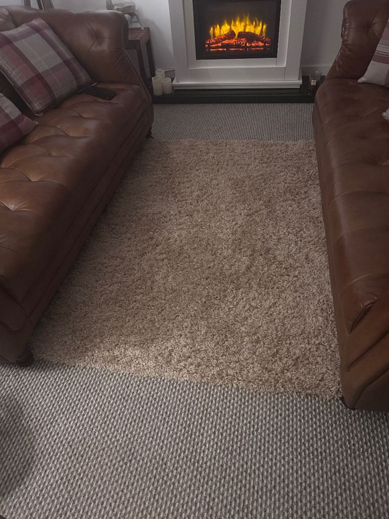 Beige Rug