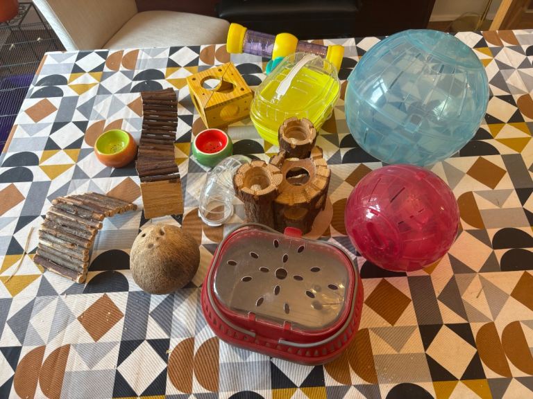 Hamster toys and carry cases 