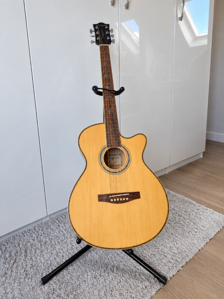 Cutaway Electro Acoustic Guitar - Martin Smith W-401E-N – Natural Finish
