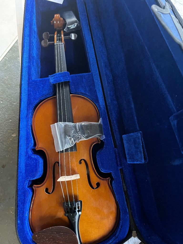 Stentor Violin