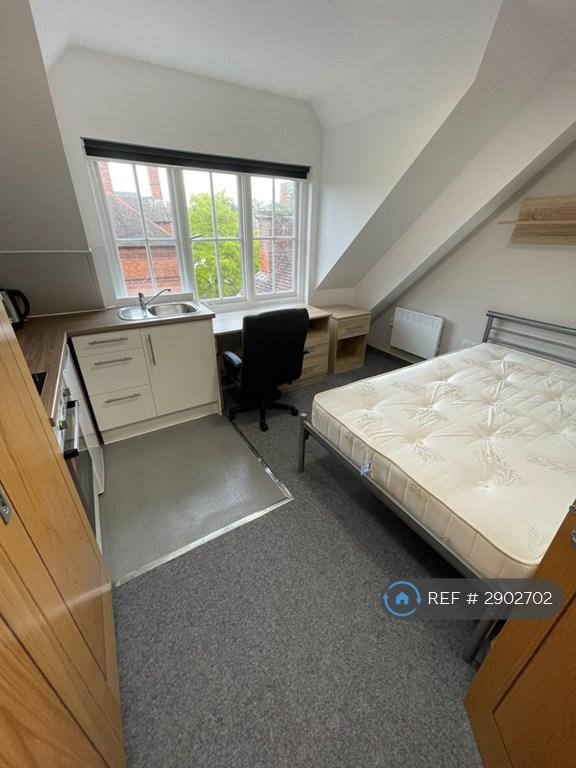 Studio flat in Regent Road, Leicester, LE1 (#2902702)