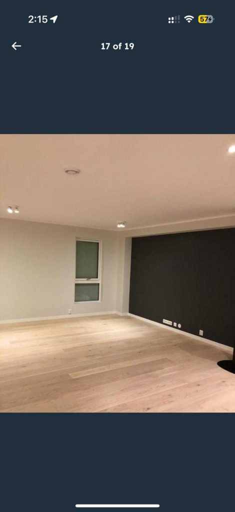 ✅Reliable Painter & Decorator – Houses, Flats & Offices – Free Quotes