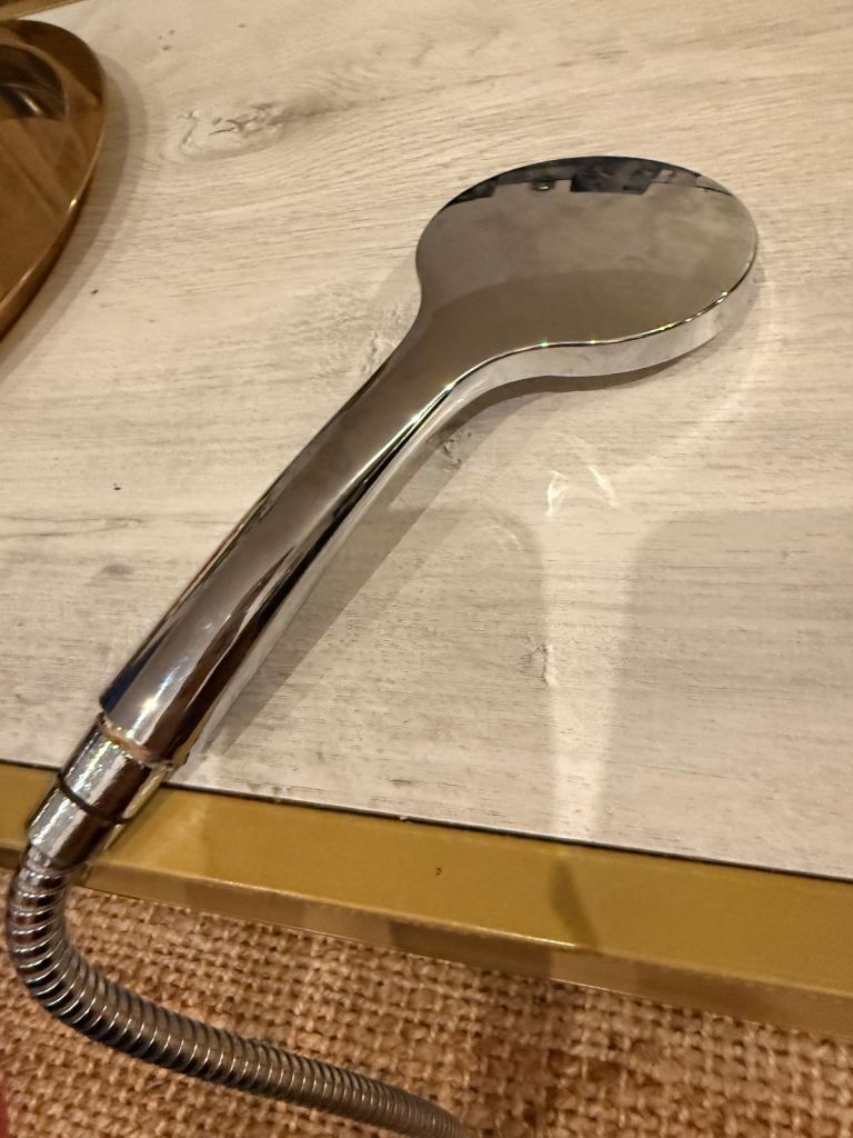 Free silver shower head