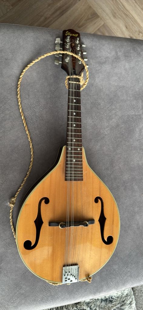 Ibanez Mandolin – Good Condition, Brown Wood Finish
