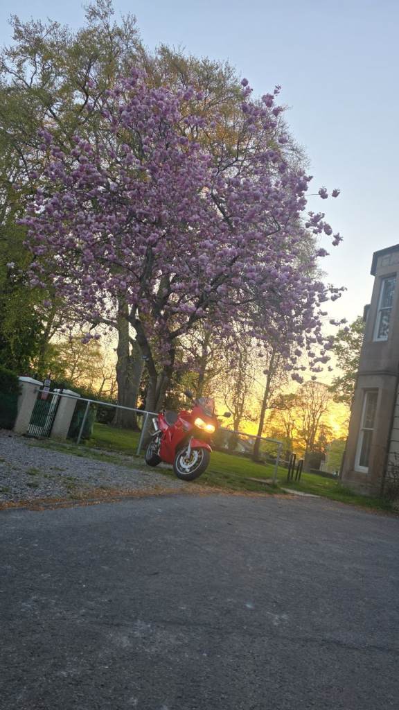 Honda, VFR, 2002, 781 (cc)