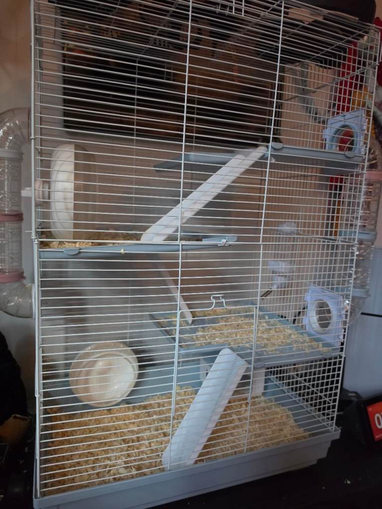 3 tier cage
