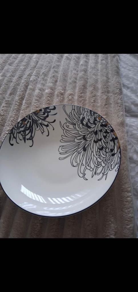 Monsoon chrysanthemum