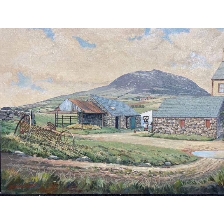 Slemish Farm