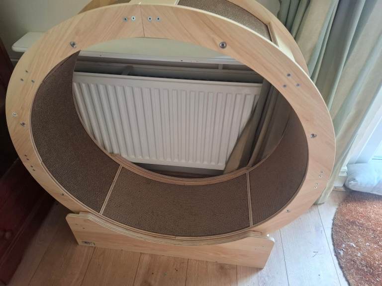 Large cat wheel