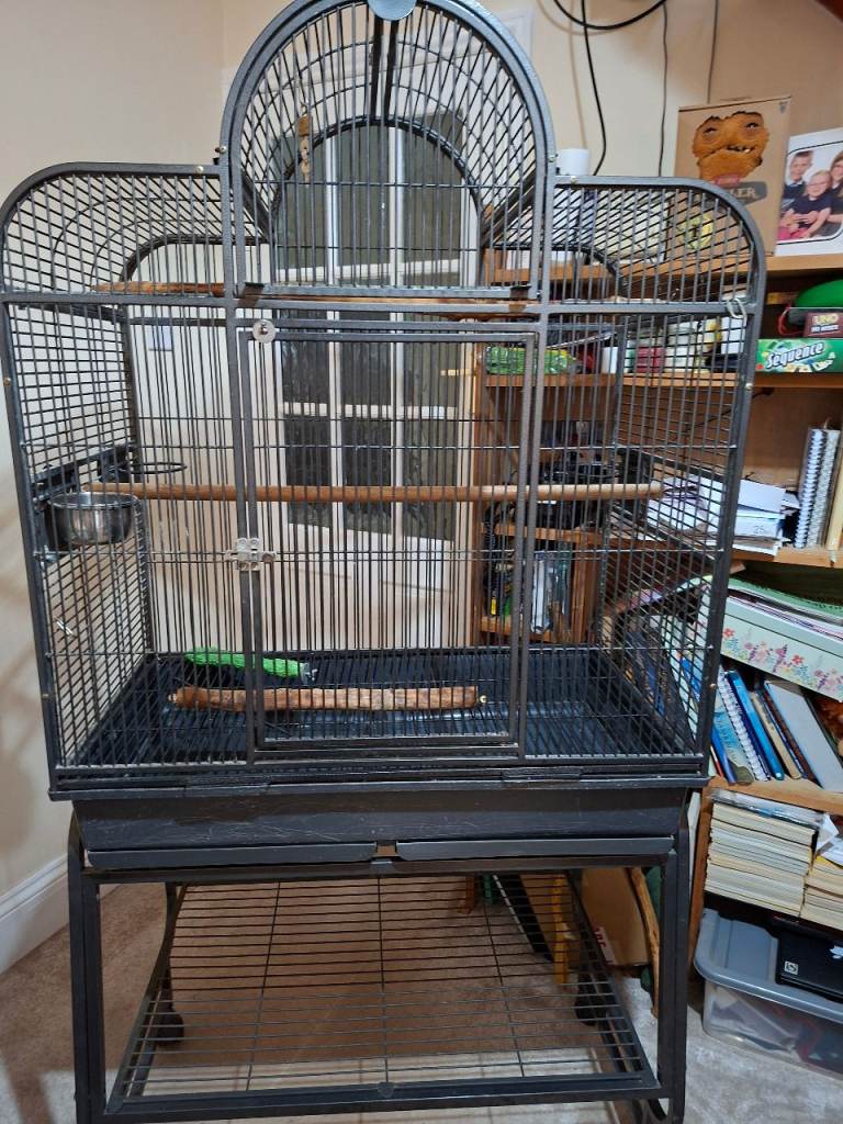Parrot cage 