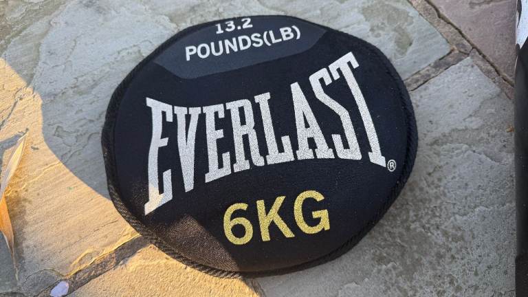 Everlast sand bell weight 6kg