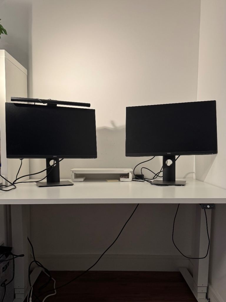 Dell P2319H 23” Full HD IPS Monitor, Height Adjustable Stand
