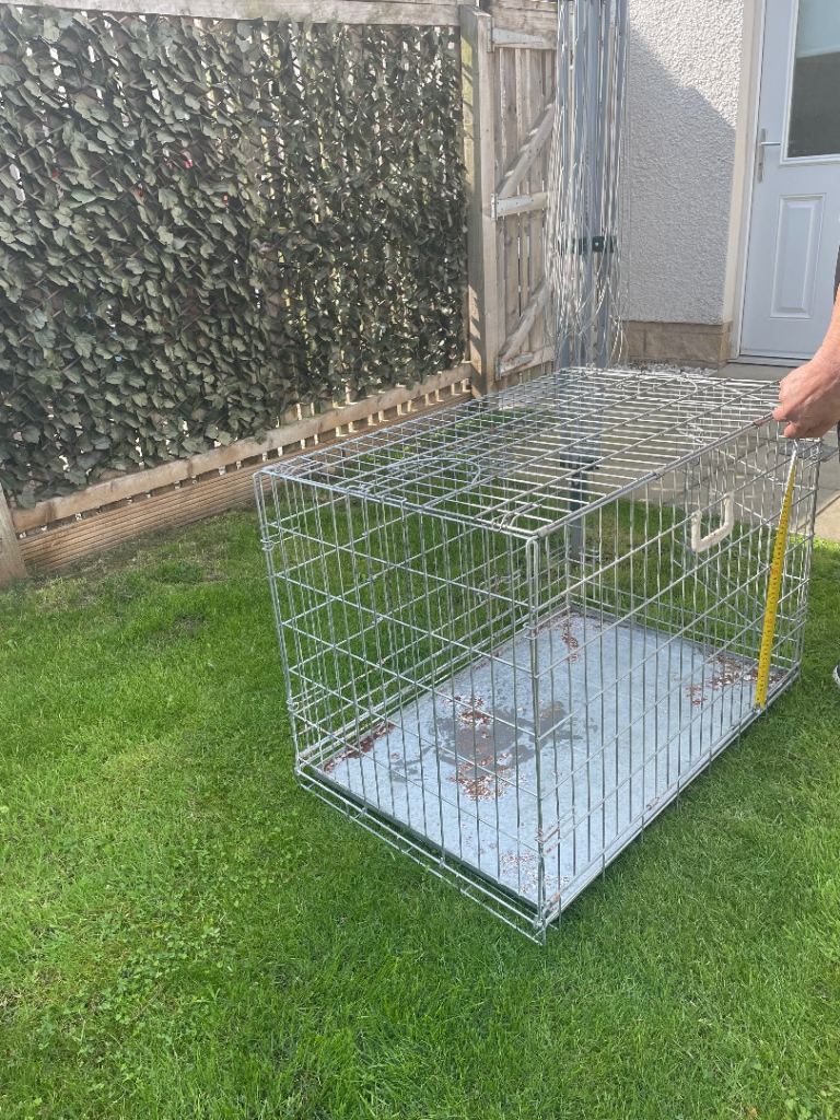 Metal dog cage 