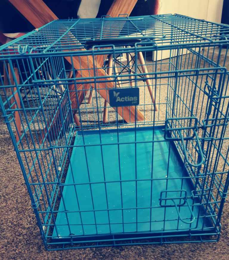 Medium dog crate
