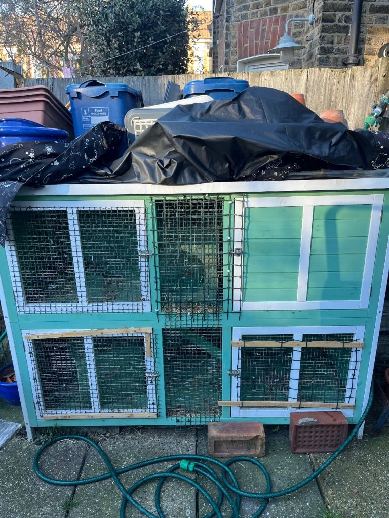 Pets at Home Bluebell Rabbit and Guinea Pig Hutch