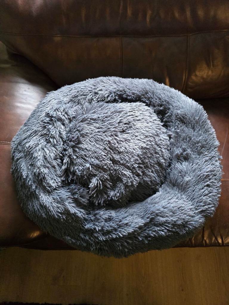 Brand new amazon cat or dog bed 