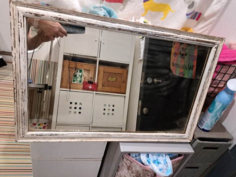 Free - old mirror- 24" x 12"