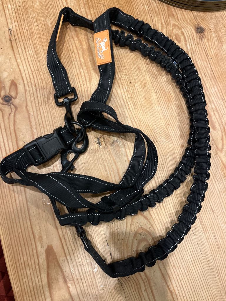 Waist lead for dog walking