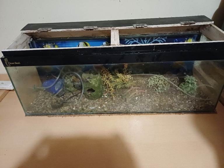 3ft fish tank with gravel and hood