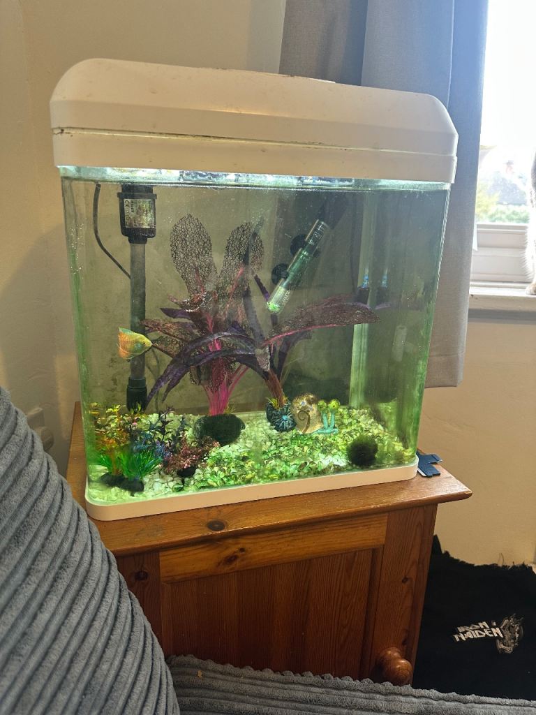 Fish tank 