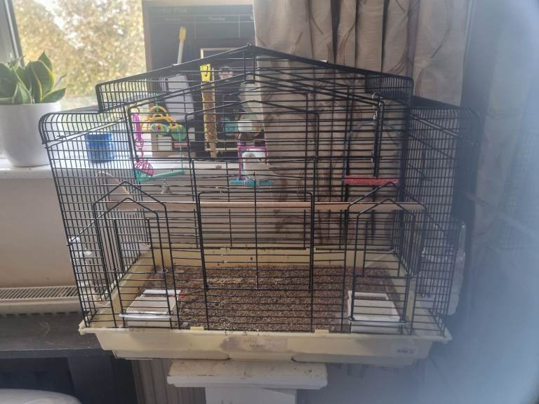 Bird cage and Assosories 