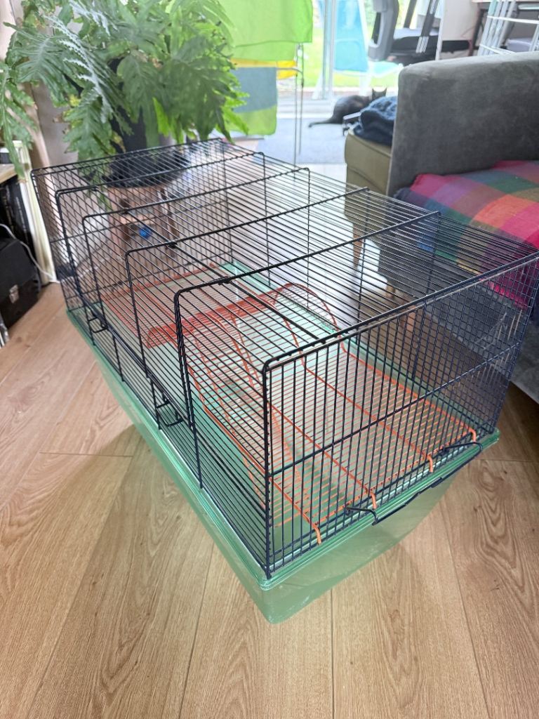 Free cage for gerbils 