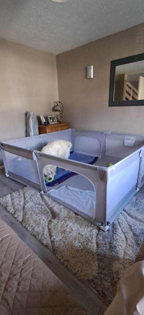 Dog play pen