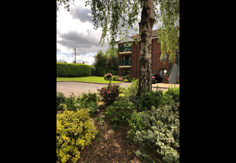 Apartment to Rent