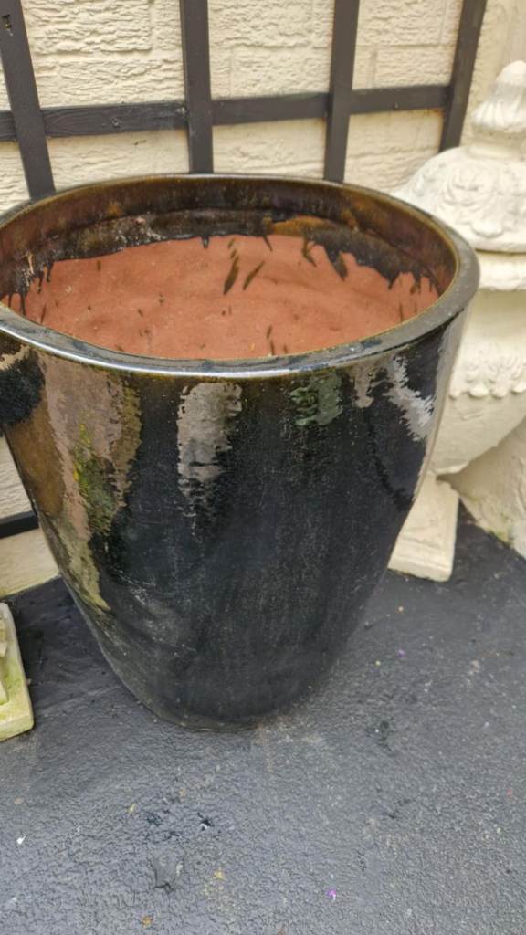 Huge Japanese salt glazed ceramic garden plant pot  
