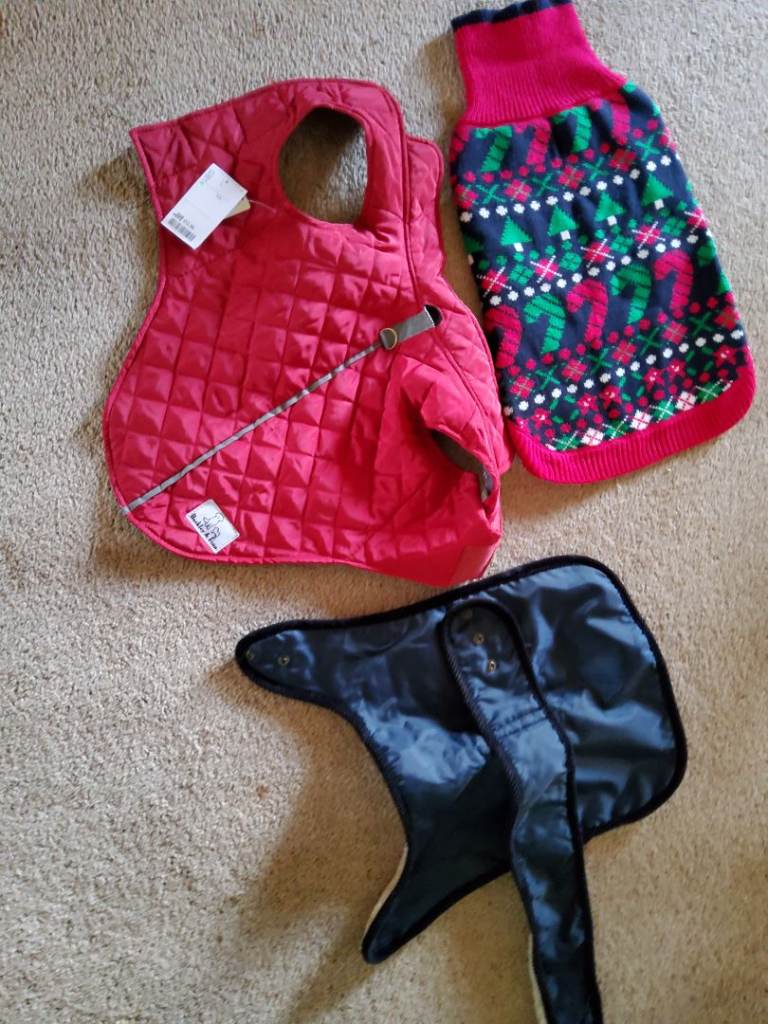 Cooler mat,dogie coats,collar