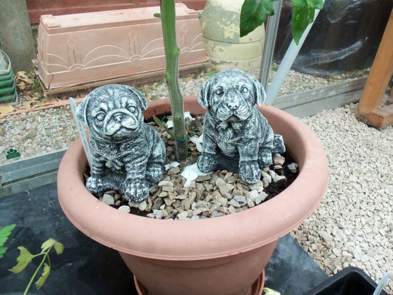 Pot-Pals dogs